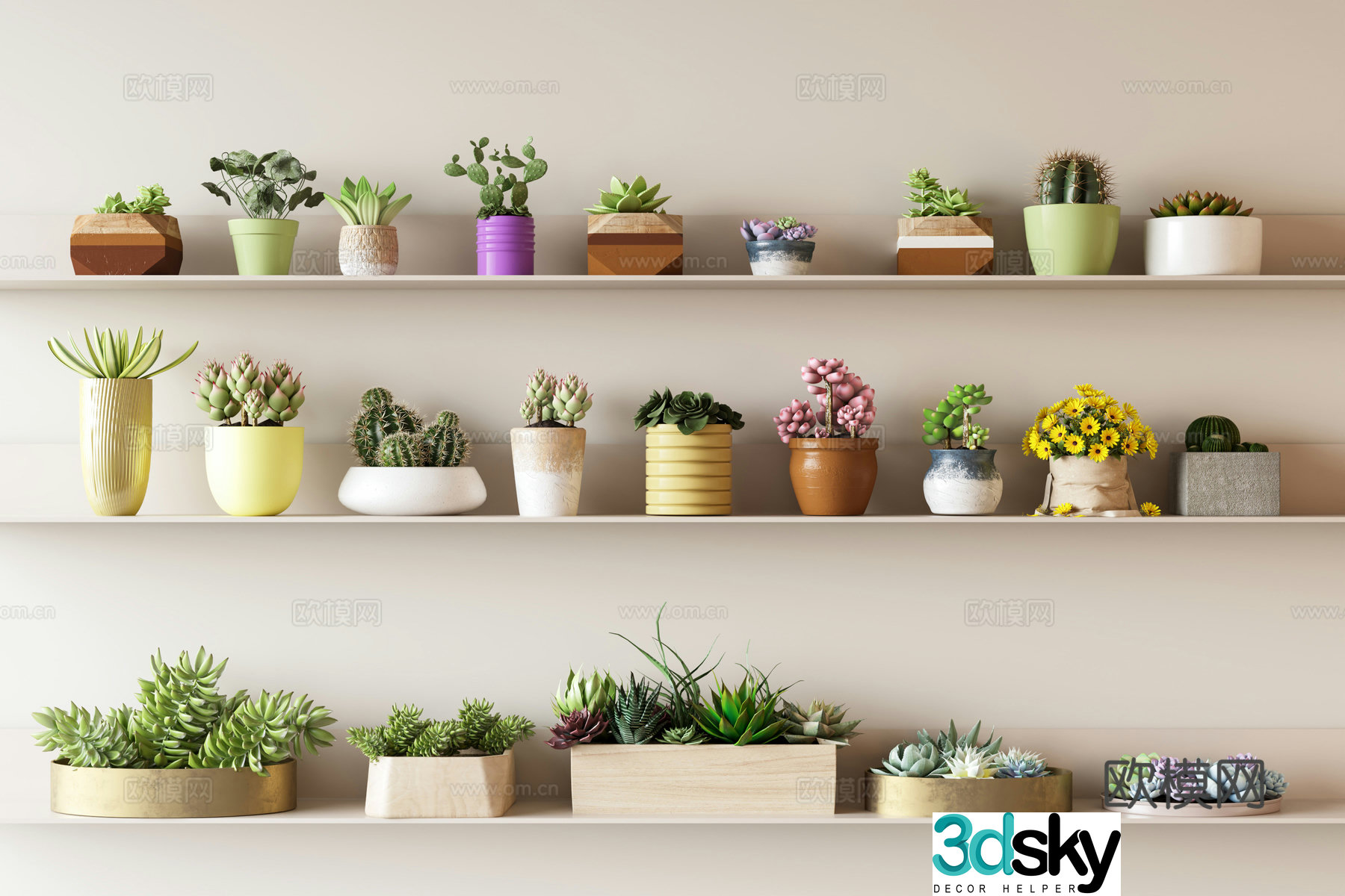 Succulent potted plants desktop green plants cactus 3d model