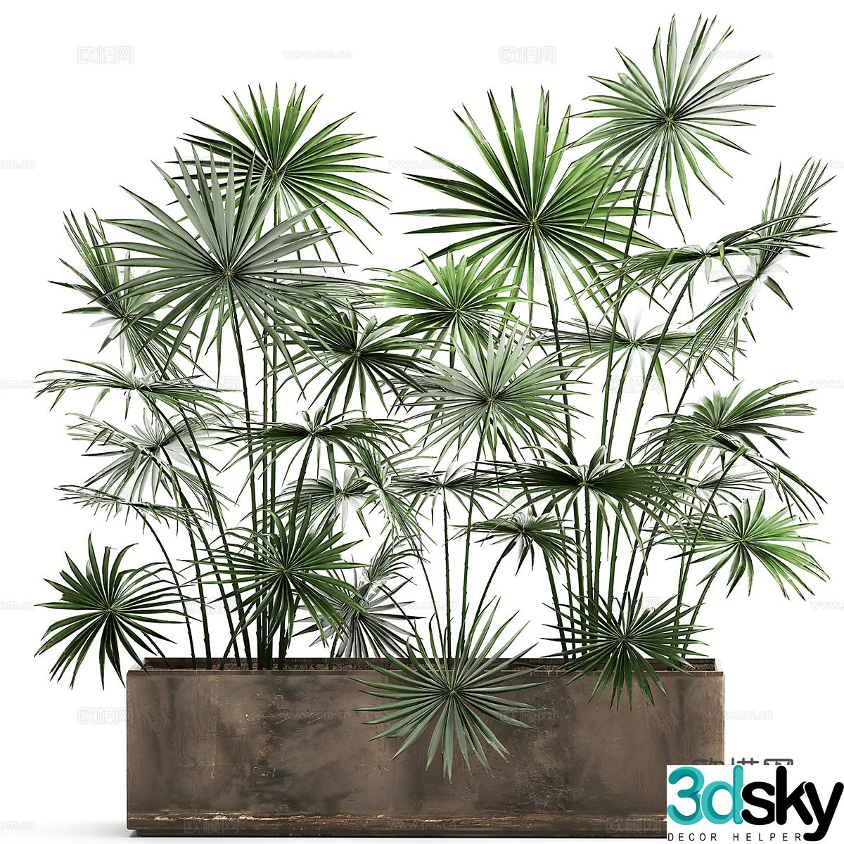 Green plant potted 3D model