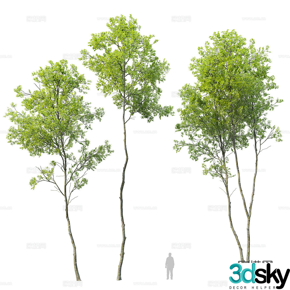 Tree Landscape Tree 3D Model