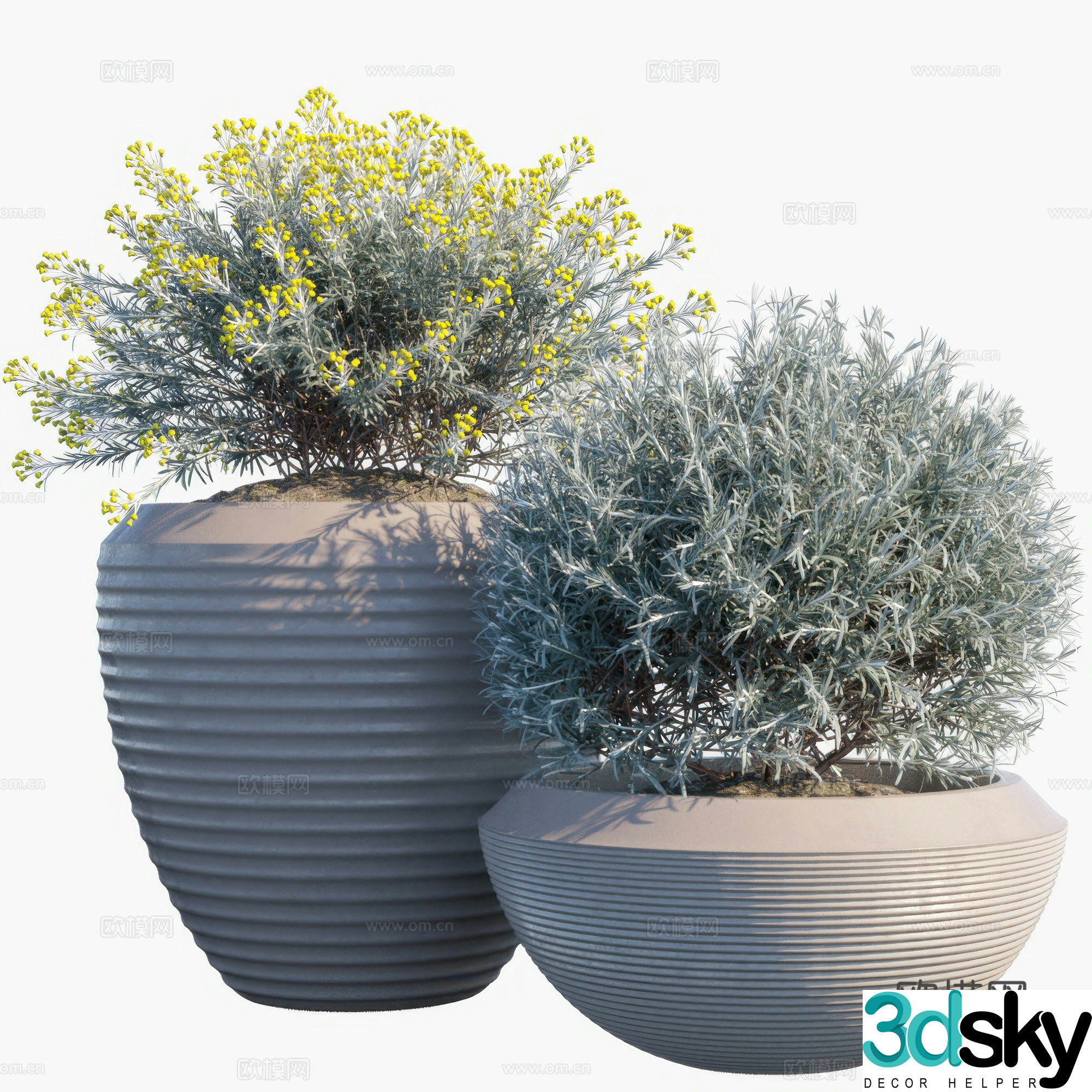 New Chinese green plant potted 3D model