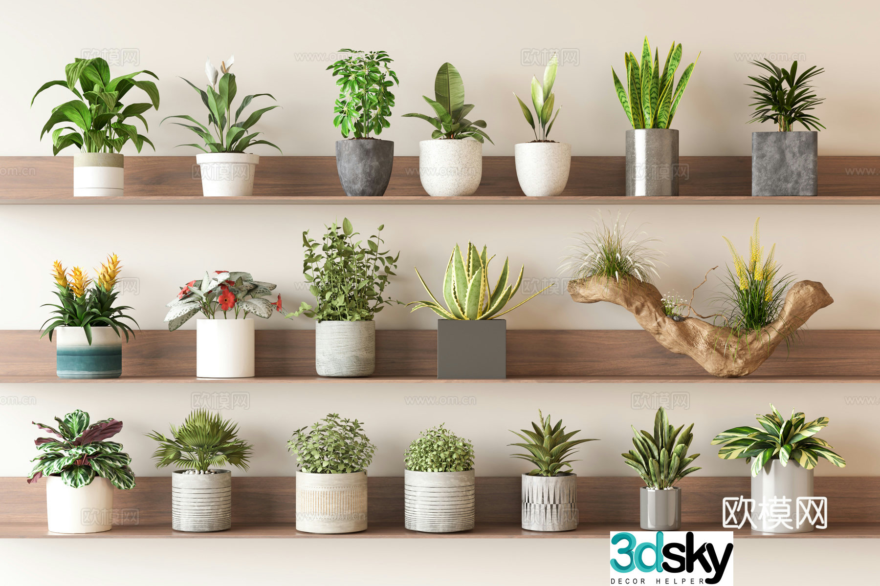 Root carving potted plants small potted plants small green plants 3D model