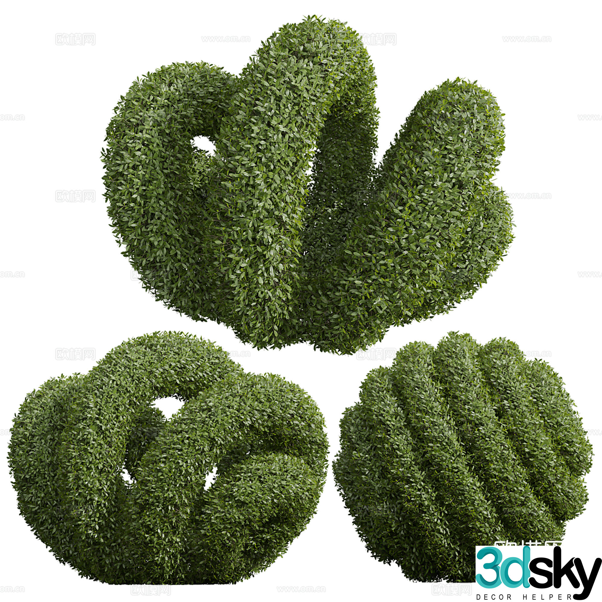 Plant Modeling Shrub 3D Model