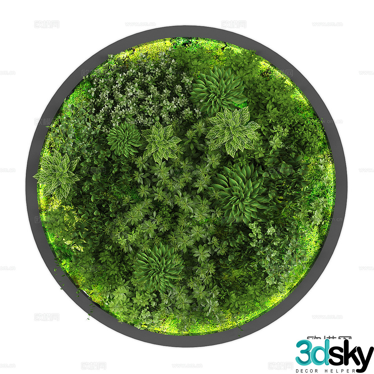 Green plant wall decoration circular hanging decoration plant wall 3d model