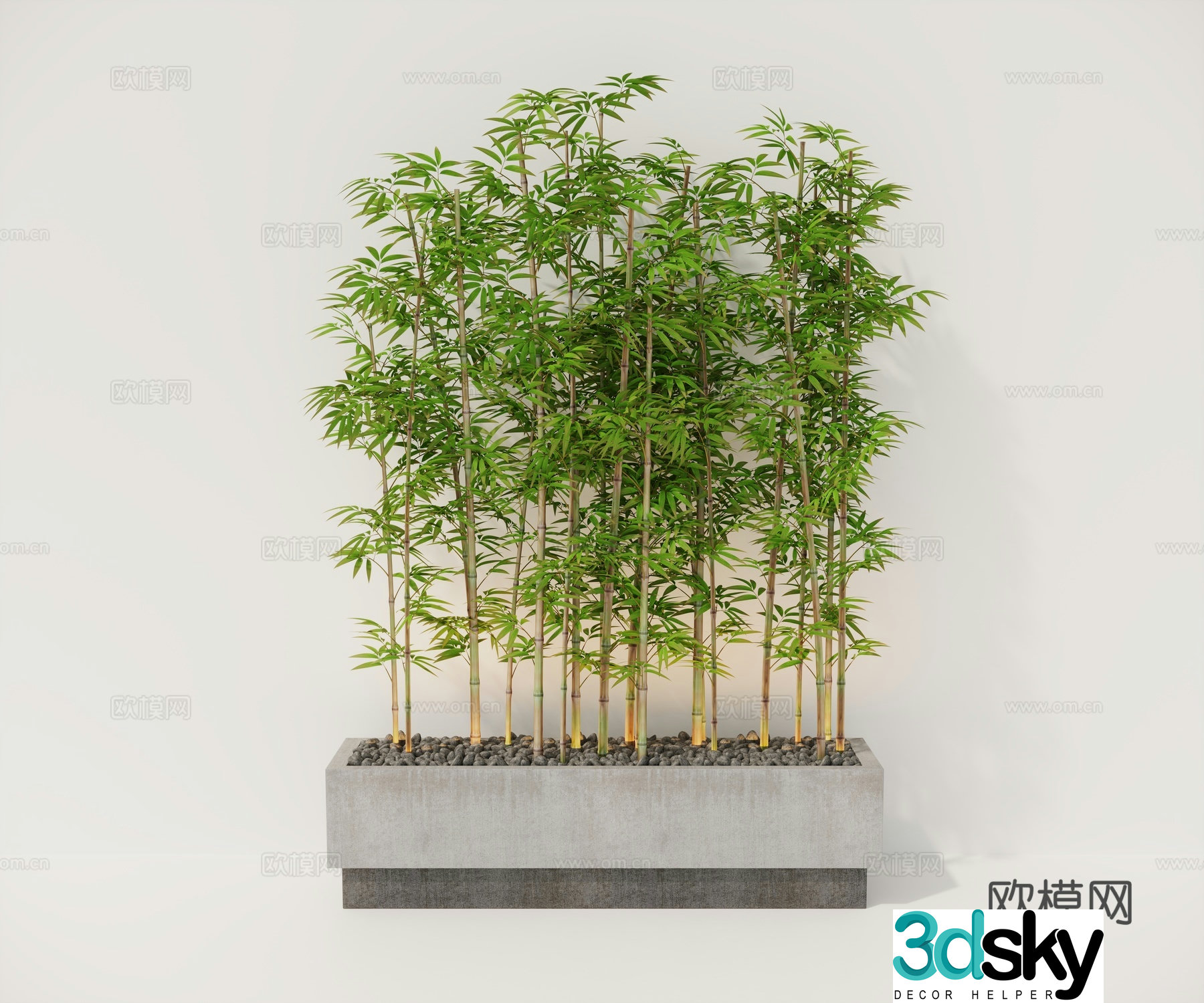 Plants bamboo green plants flower pond 3d model