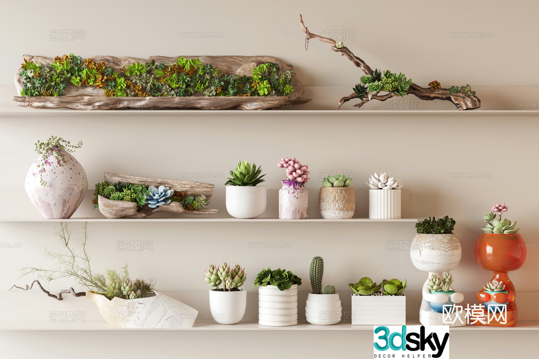 Succulent dead branches old wood plants desktop small potted cactus 3d model