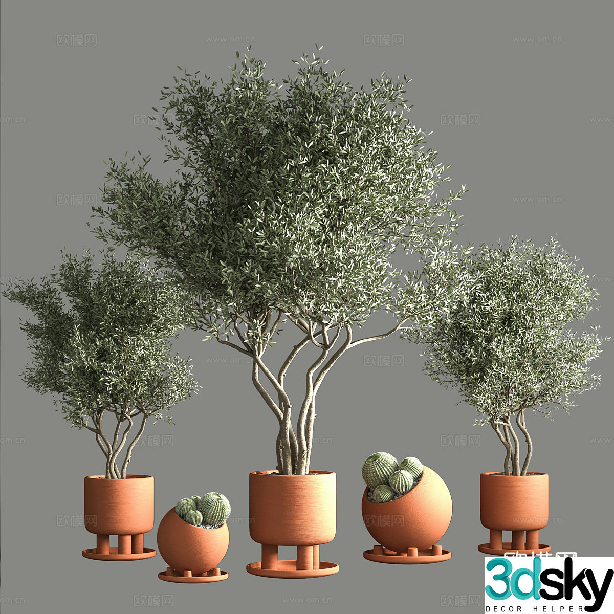 Green plant potted 3D model