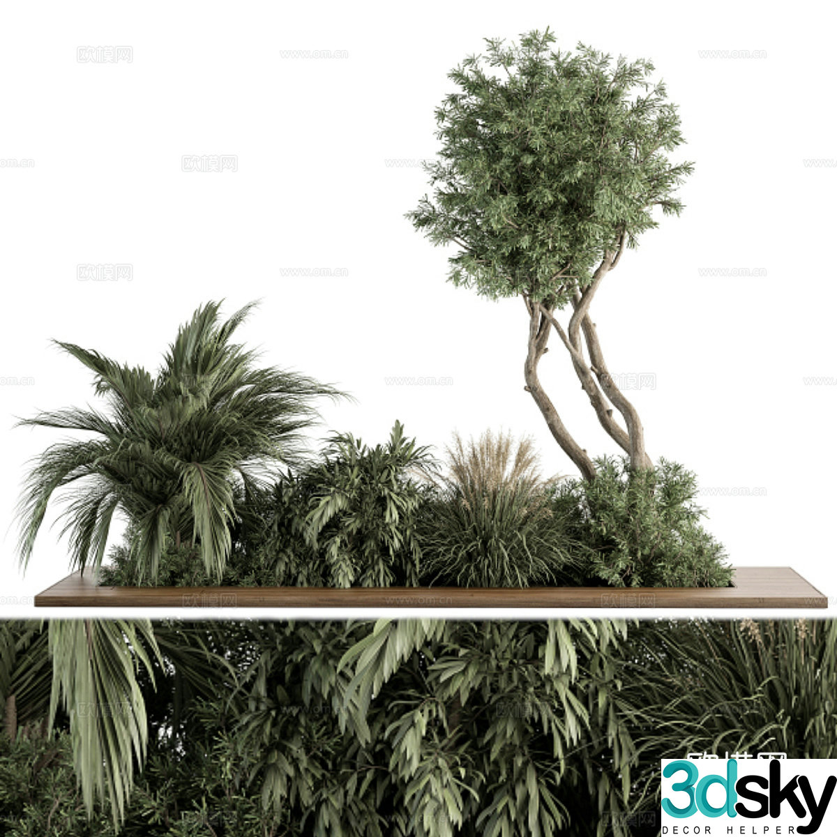 Needle tree palm tree flower box plant pile 3d model