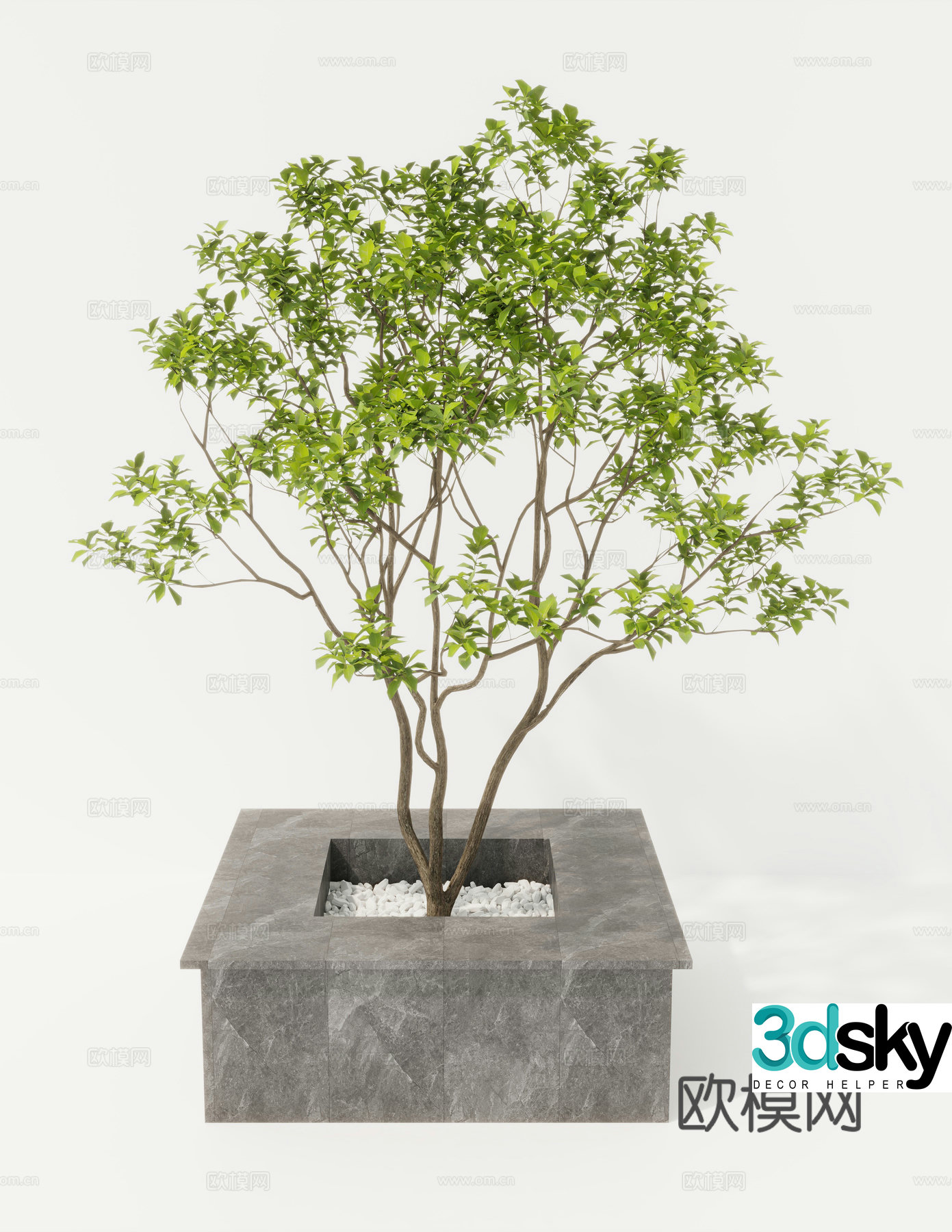 Tree Pool Trees 3d Model