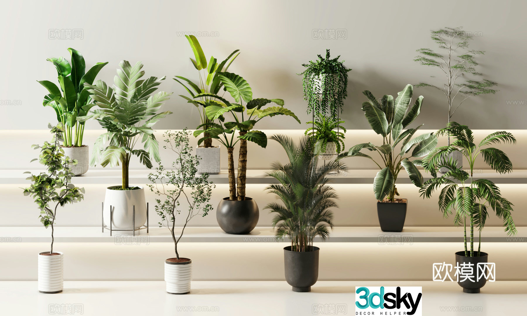 Green plants Potted plants Flower pot 3d model