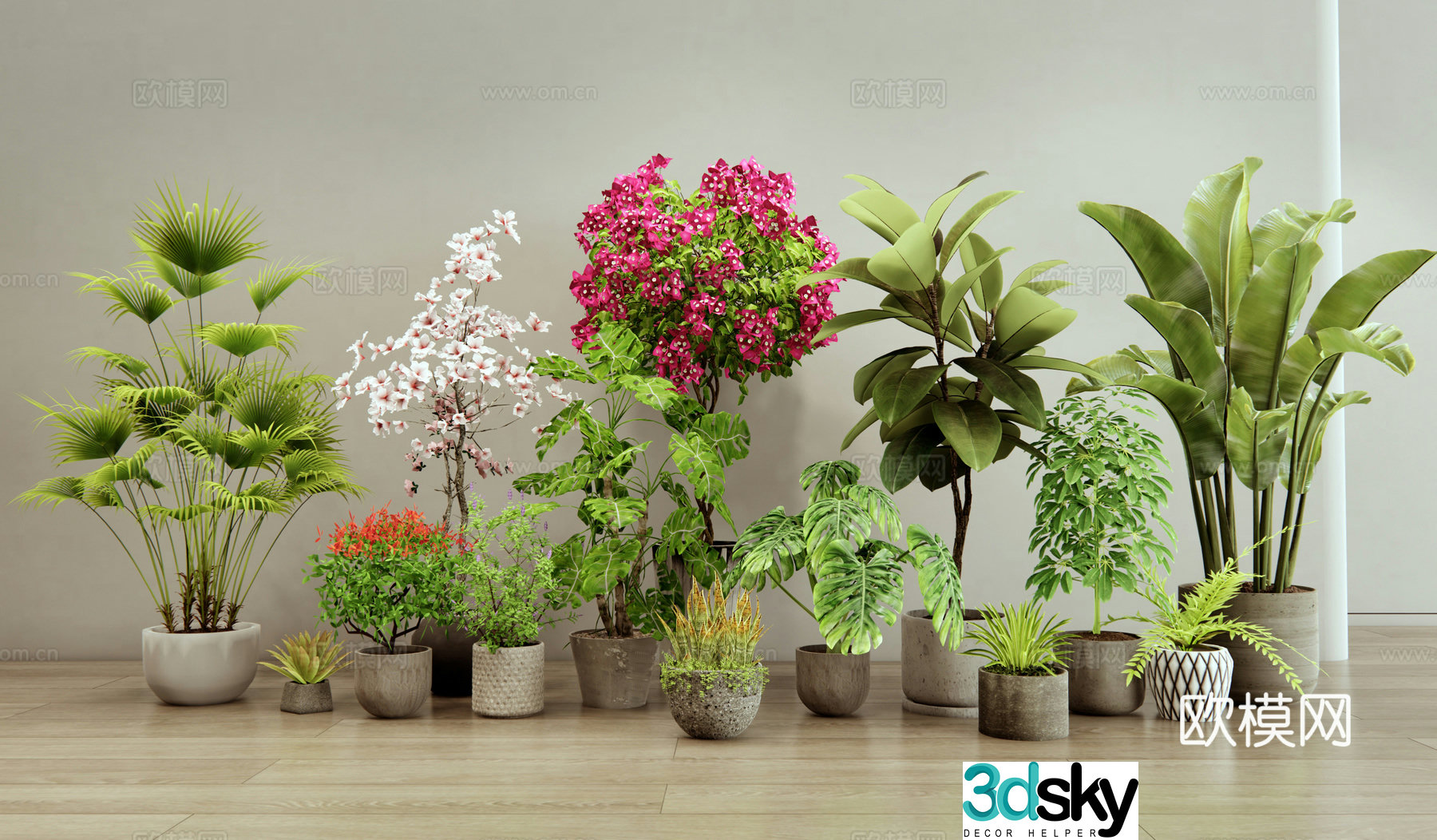 Plant potted plant flower pot bougainvillea 3d model