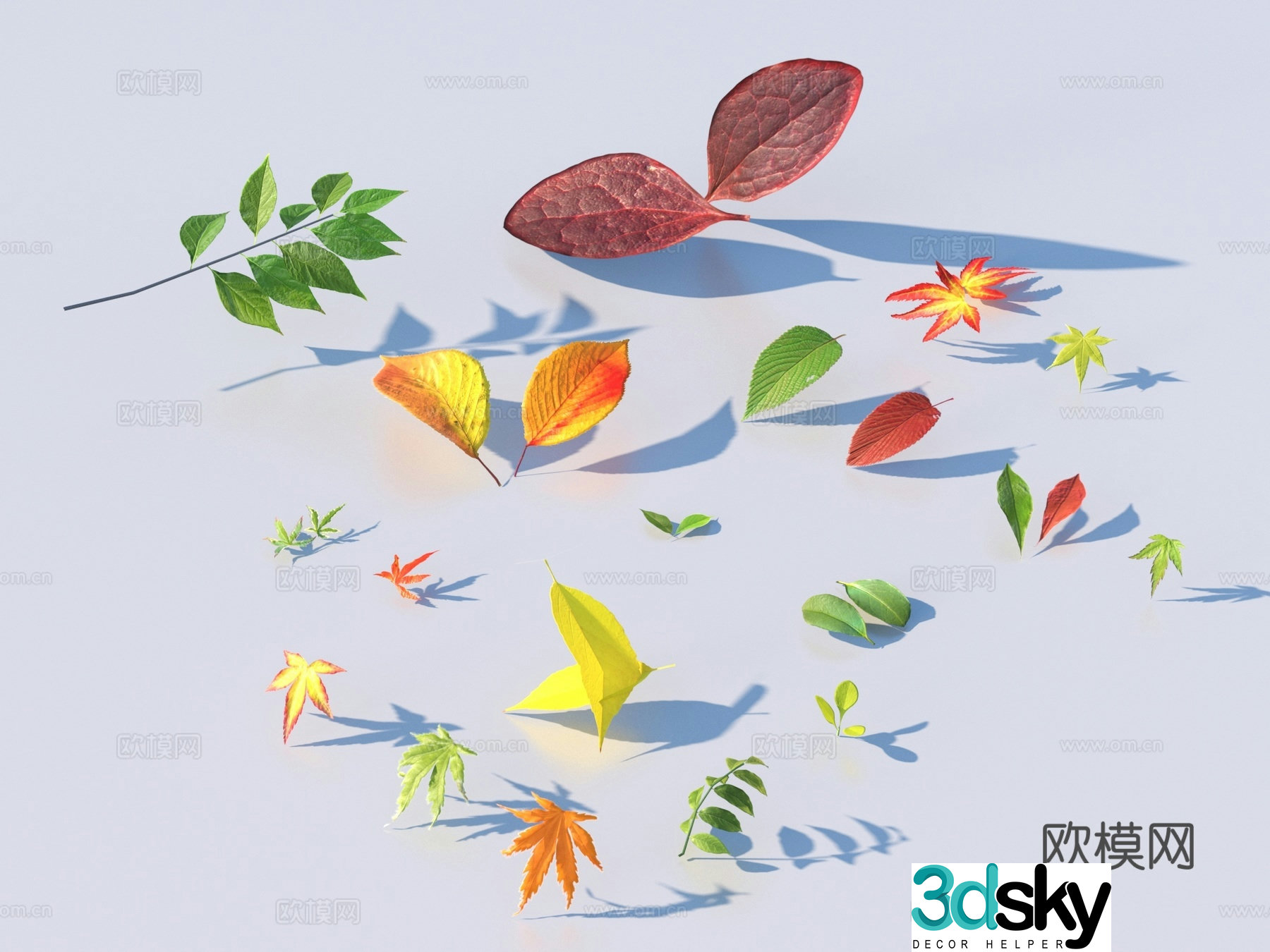 Vegetables and leaves leaves leaves 3D model
