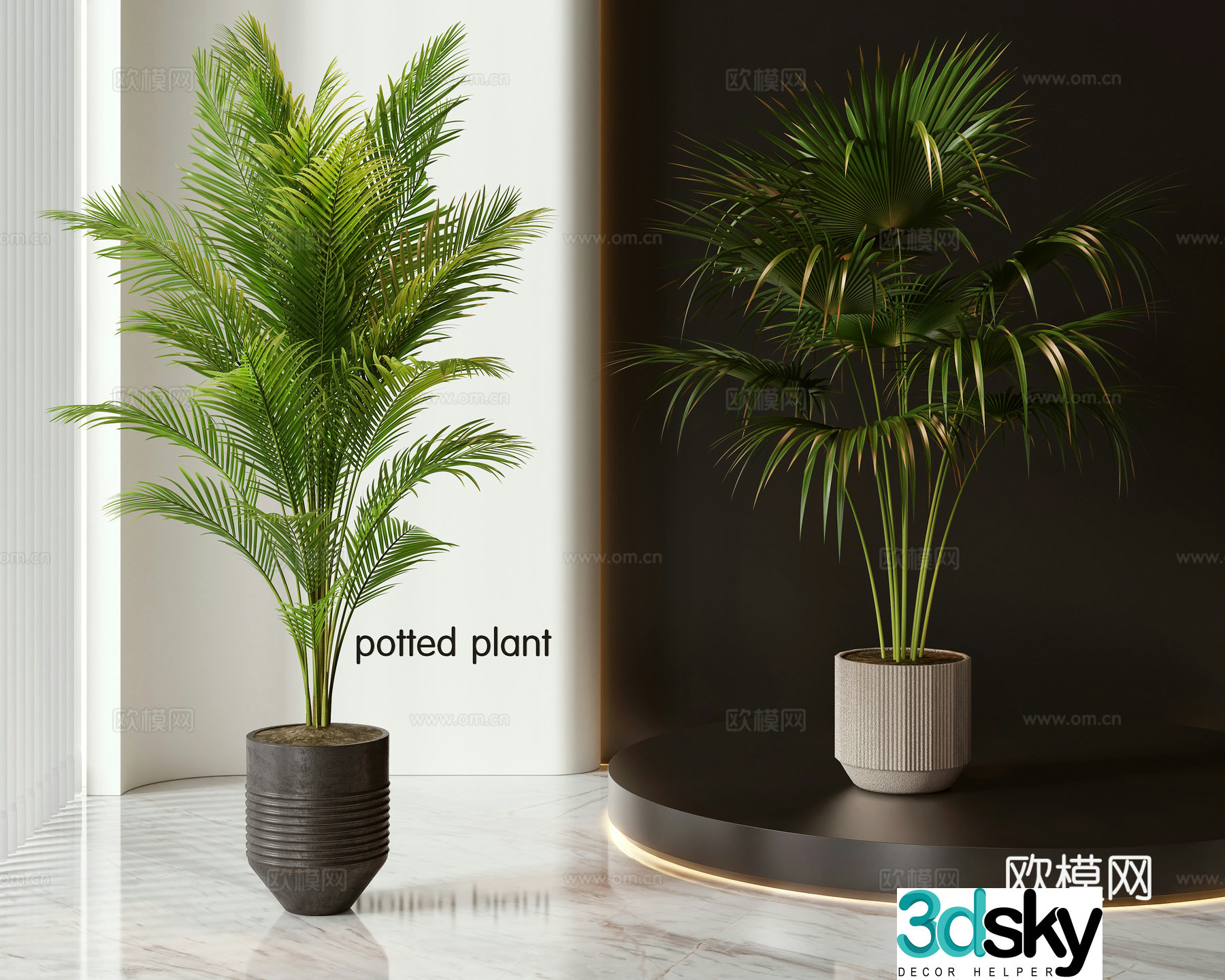 Modern potted plants bonsai green plants 3d model