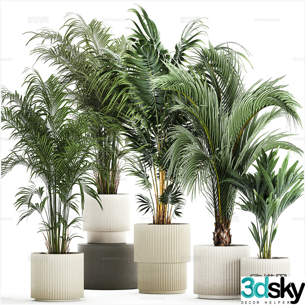 Green plants Potted plants Scattered tail sunflower flower pot 3d model