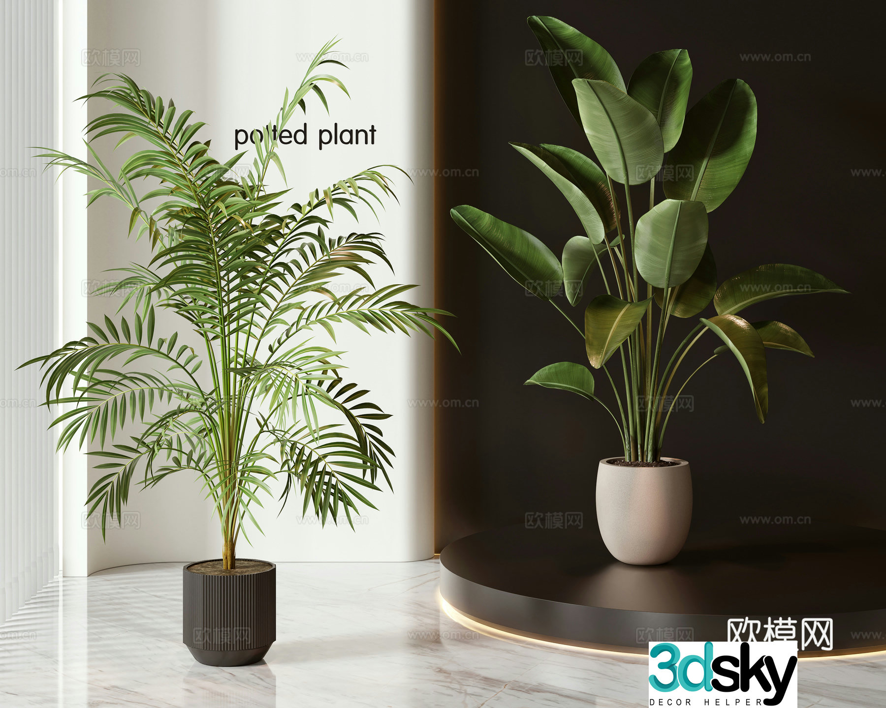 Modern potted plants bonsai green plants 3d model
