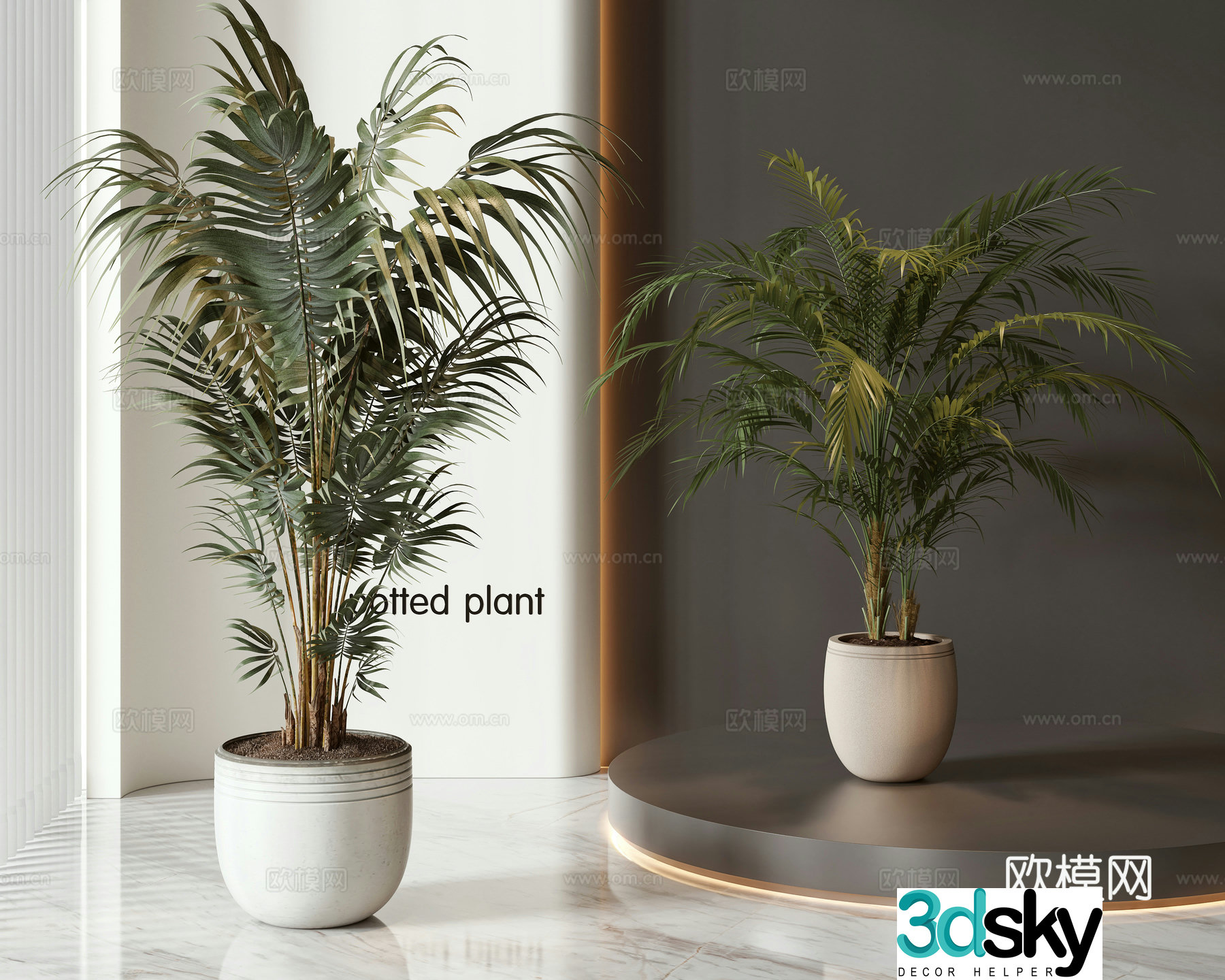 Modern potted bonsai combination 3D model