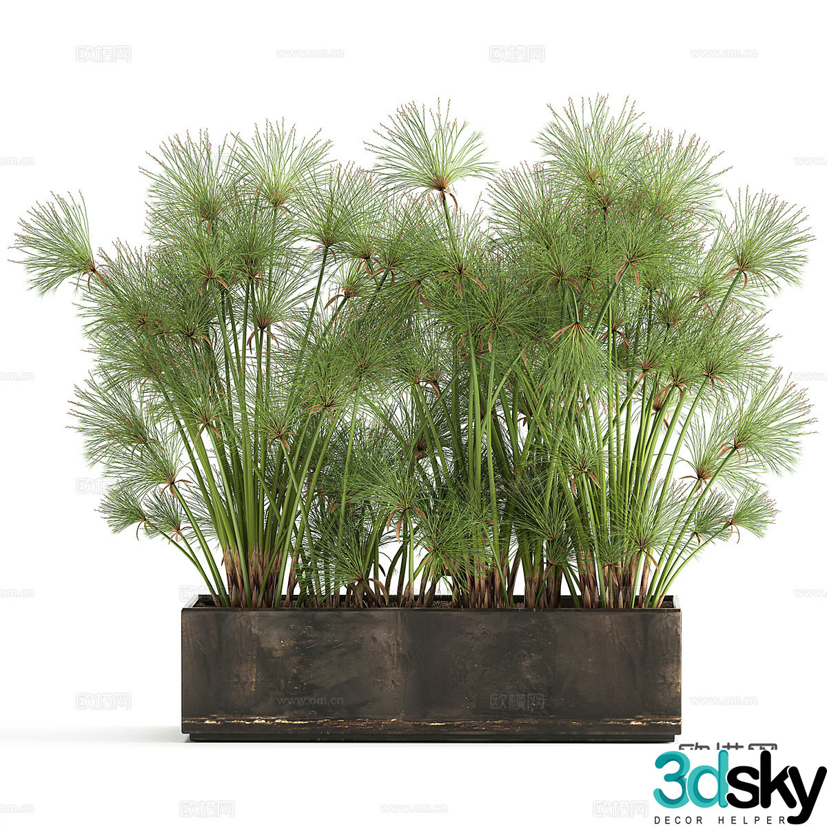 Potted bonsai 3d model