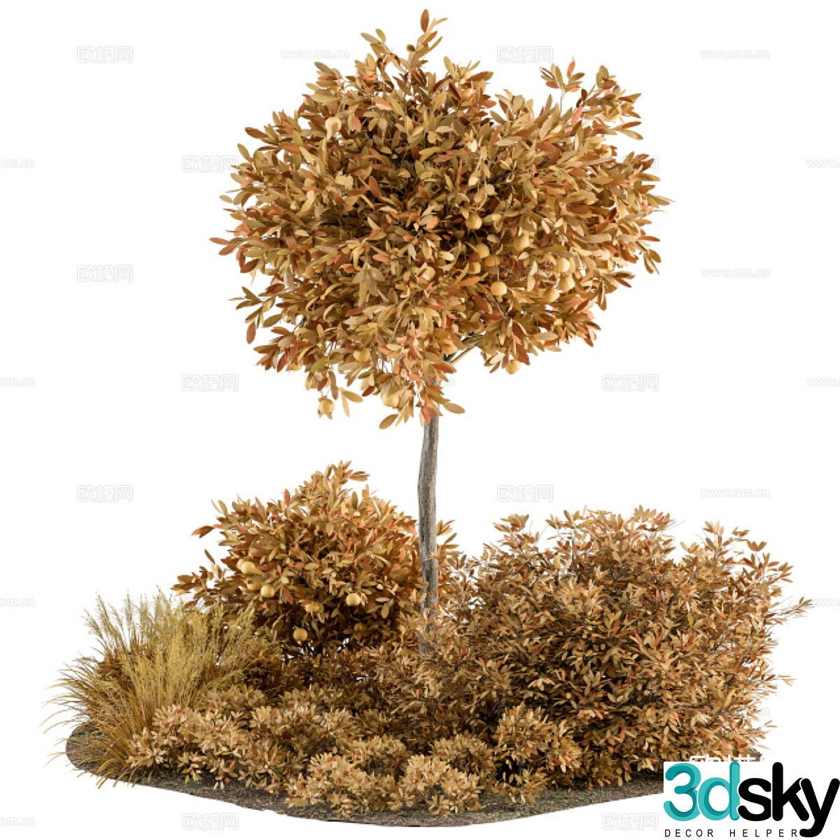 3d model of autumn trees and palm trees