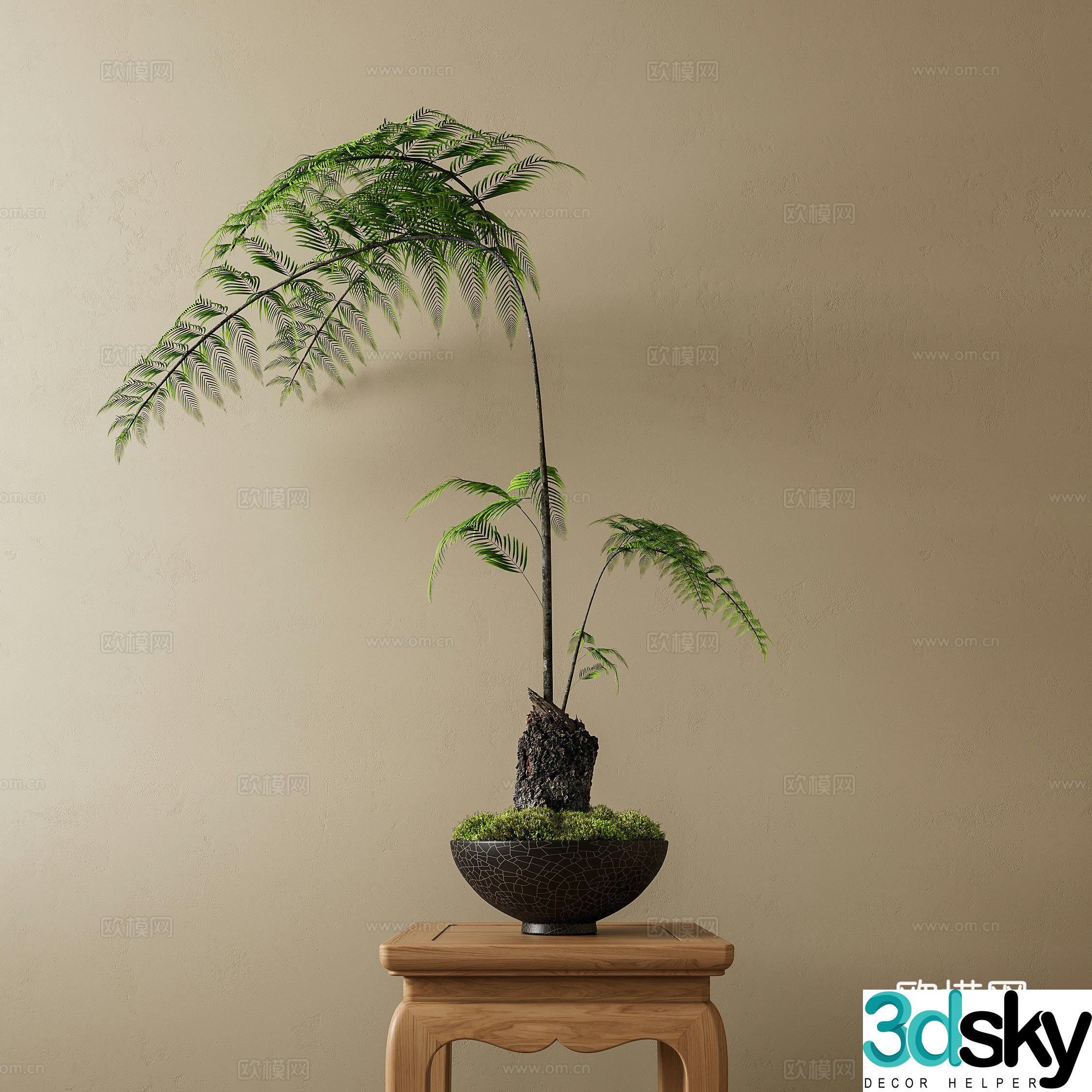 fern bonsai moss bonsai green bonsai fern moss 3d model