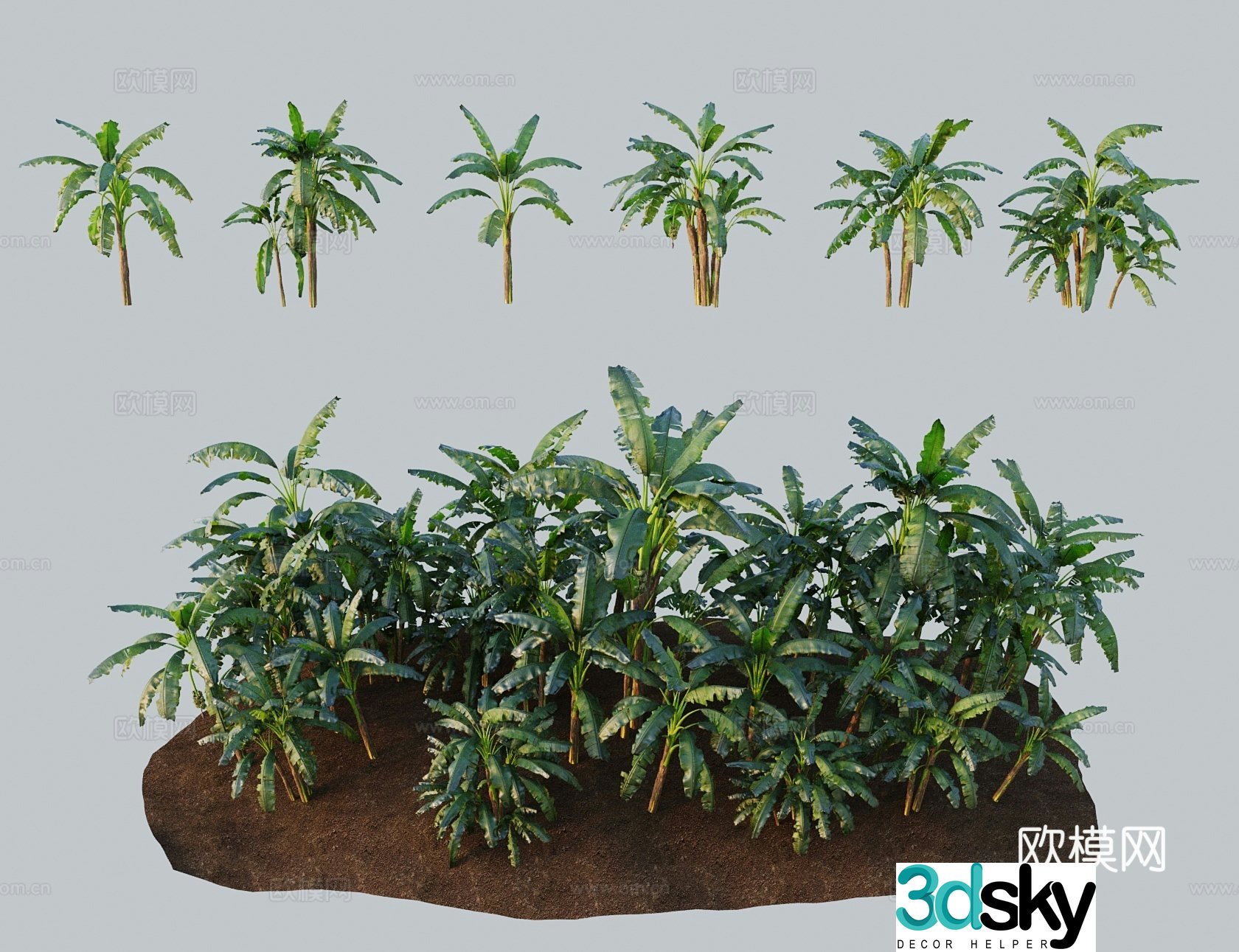 Modern landscape tree powder banana beautiful pink banana glutinous rice banana milk banana gray banana Annan banana Saigon banana 3D model