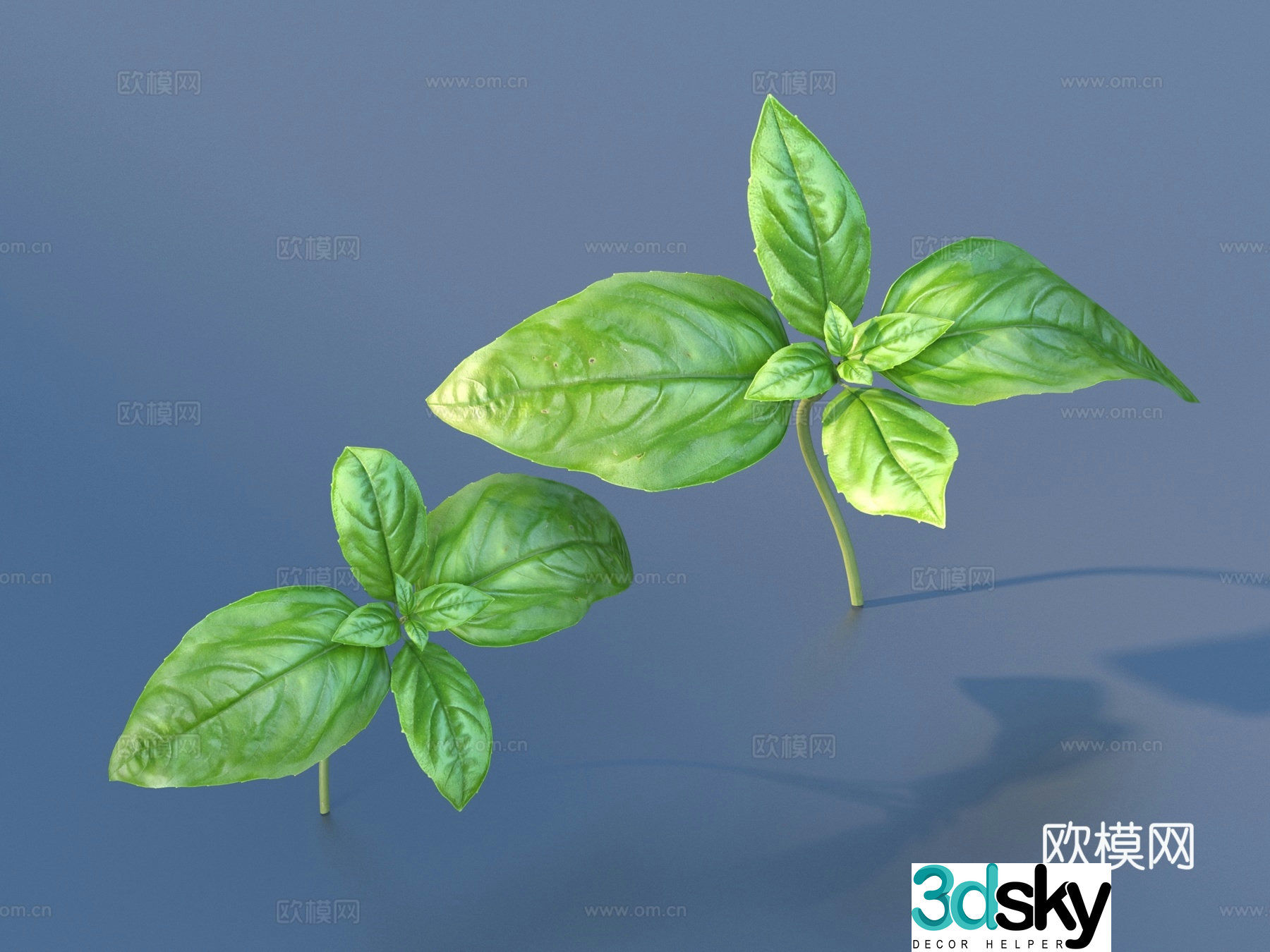 vegetables vegetables leaves food 3d model