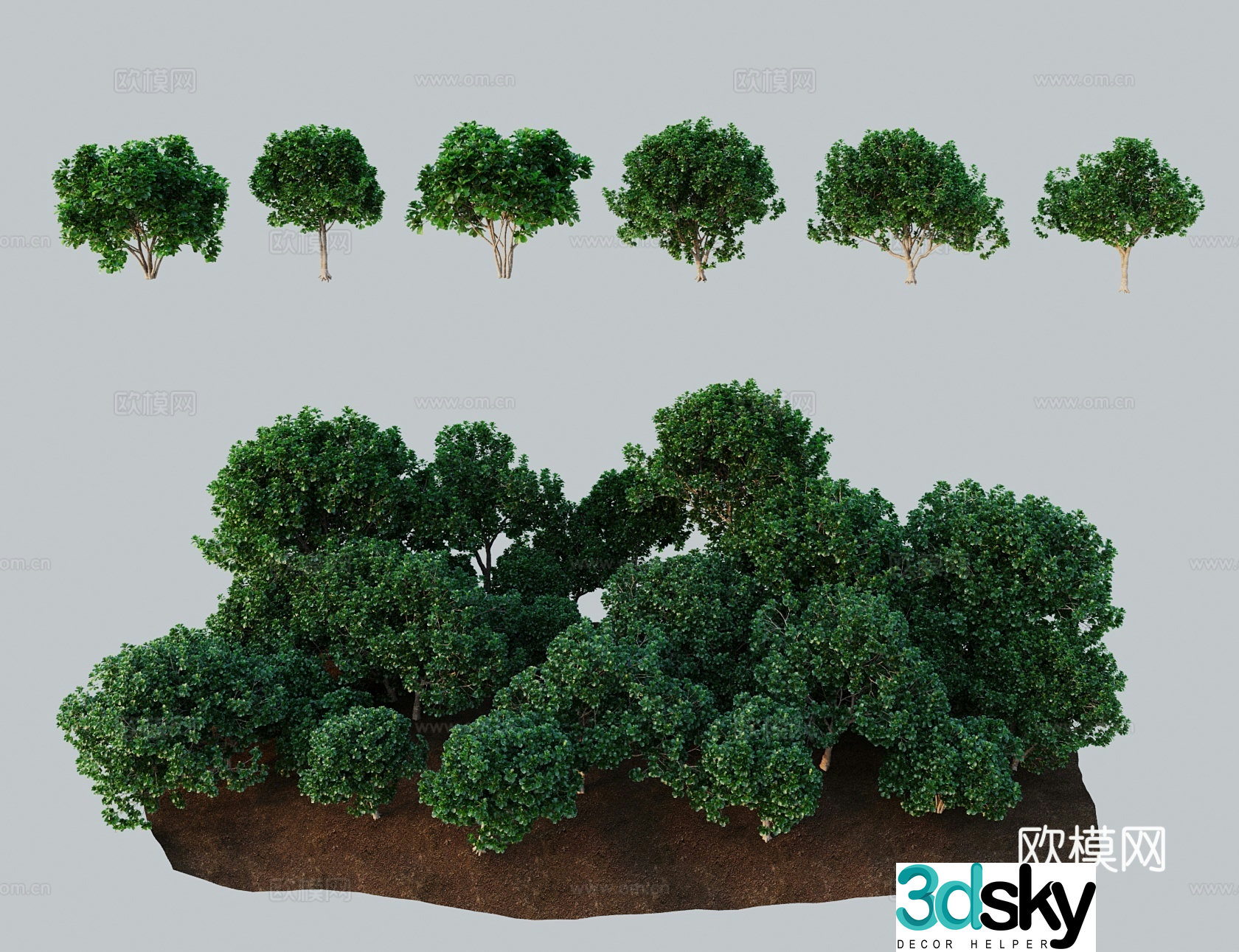 Modern tree shrub big fig leaf banyan violin leaf rubber tree cow root 3D model
