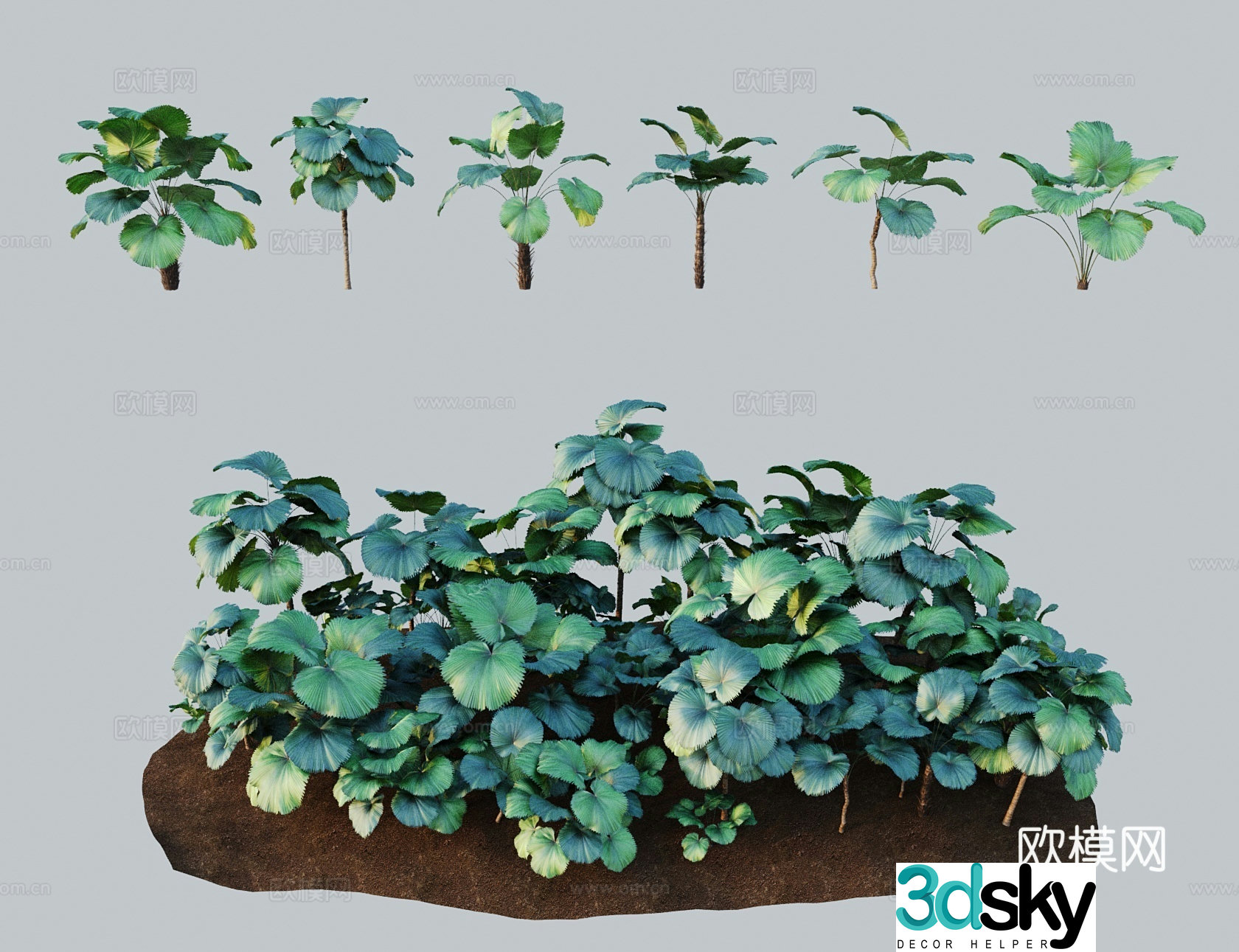 Modern tree shrub Shield shaft spike flower shaft 3d model