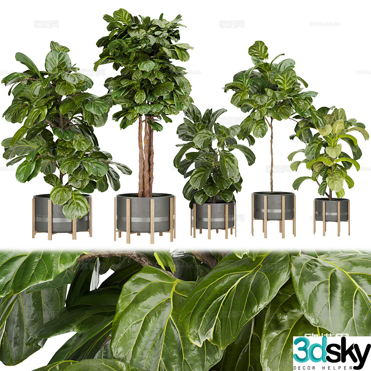 Green plant potted 3D model