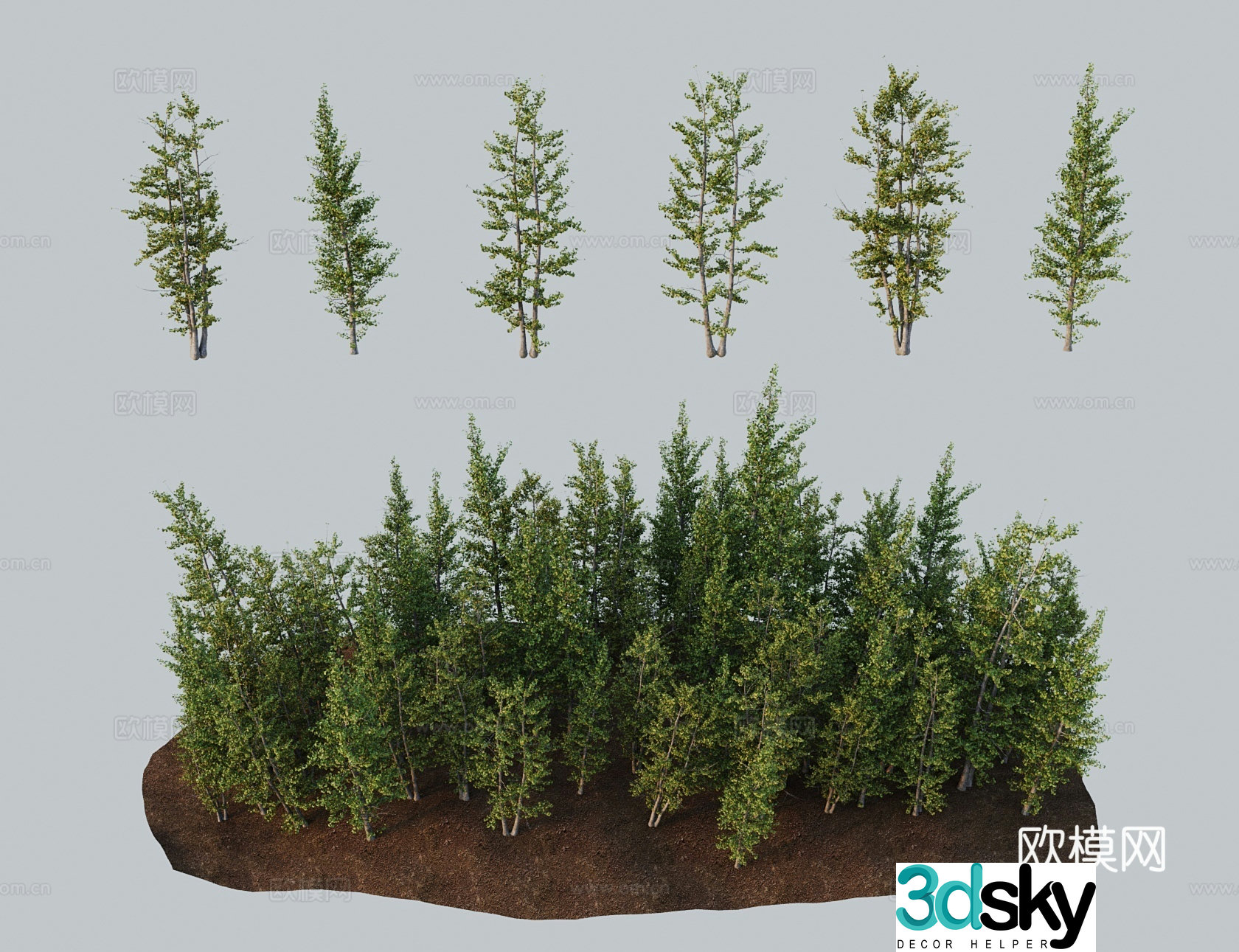 Modern landscape tree ginkgo duck foot tree duck feet Gongsun tree ginkgo 3D model