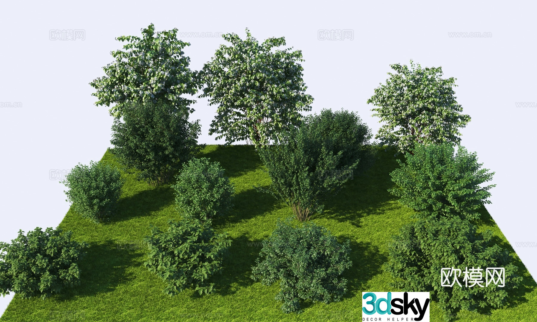 Shrub collection High precision shrubs shrub combination 3d model