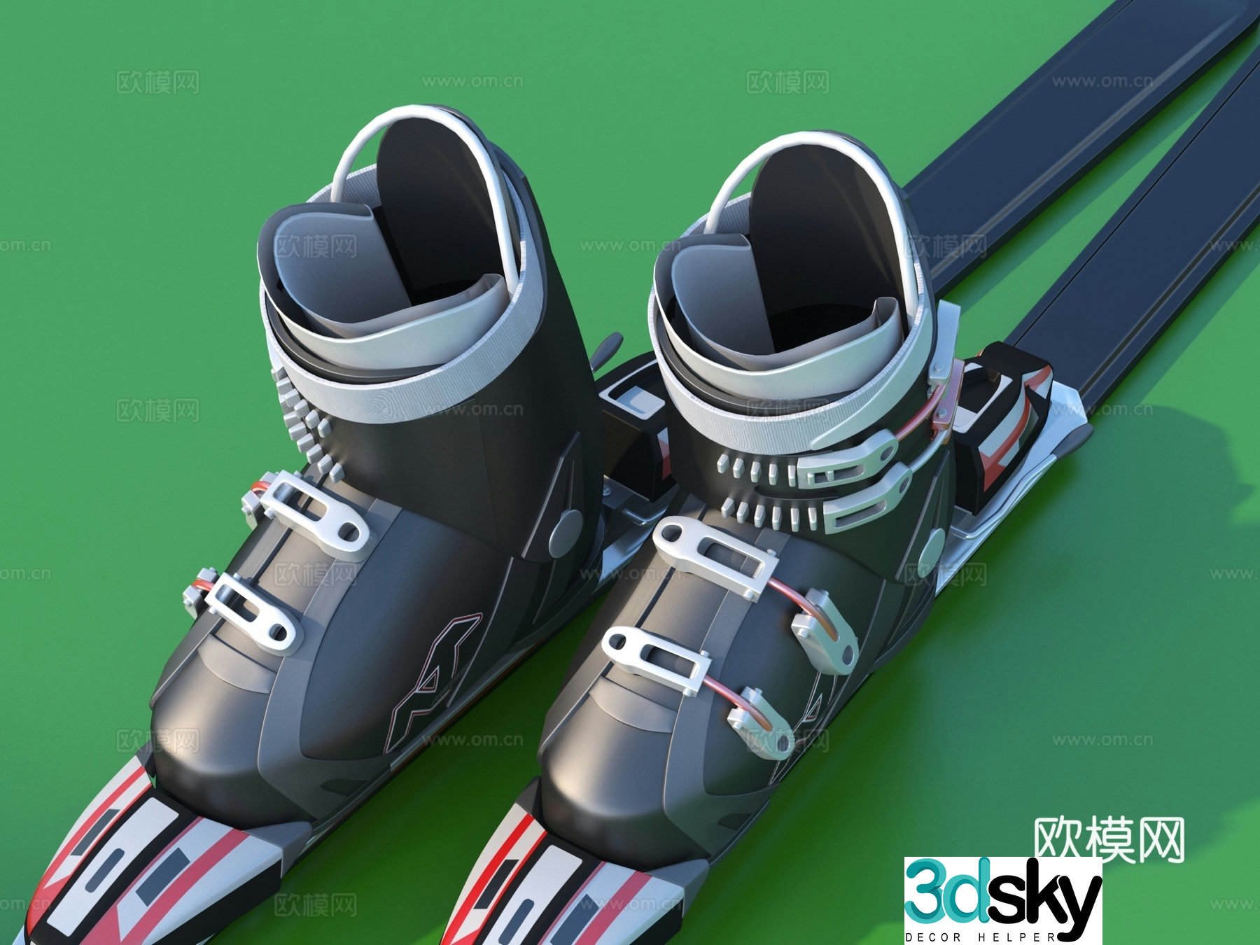 Skishoes Skiboard Ski pole 3d model