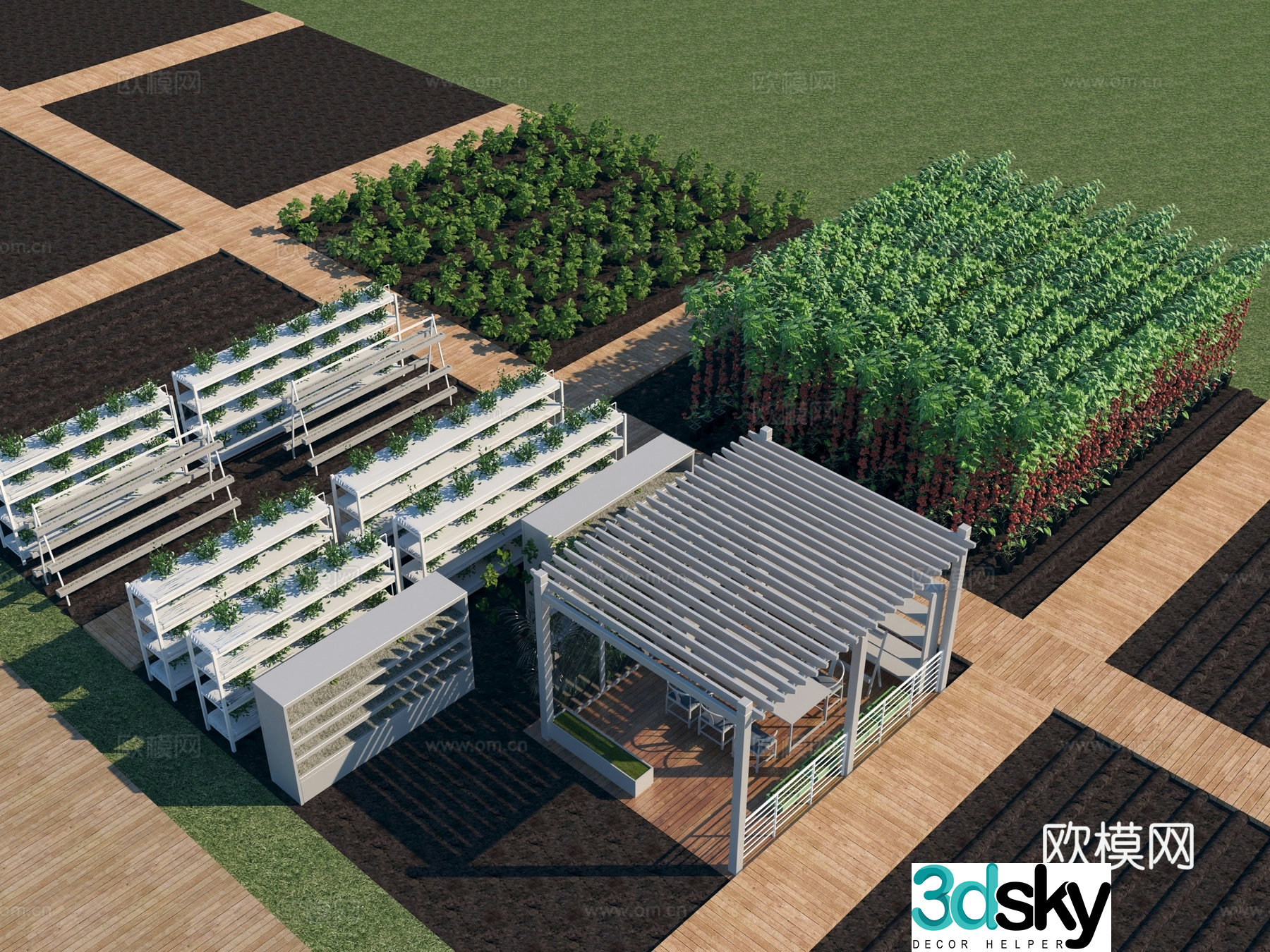 Vegetable planting base 3D model