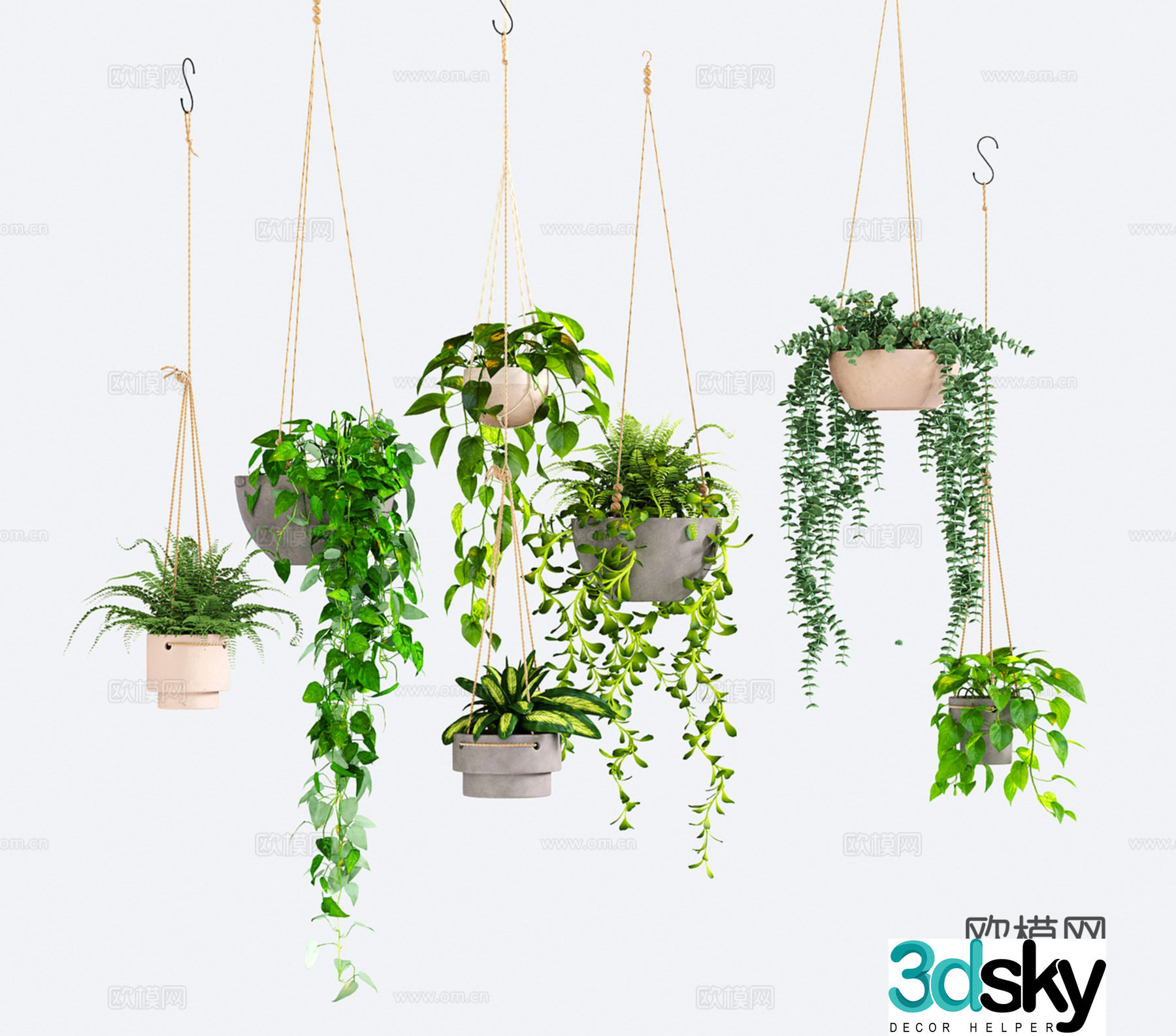 Modern hanging basket green ivy hanging plant potted plant fern green plant 3d model