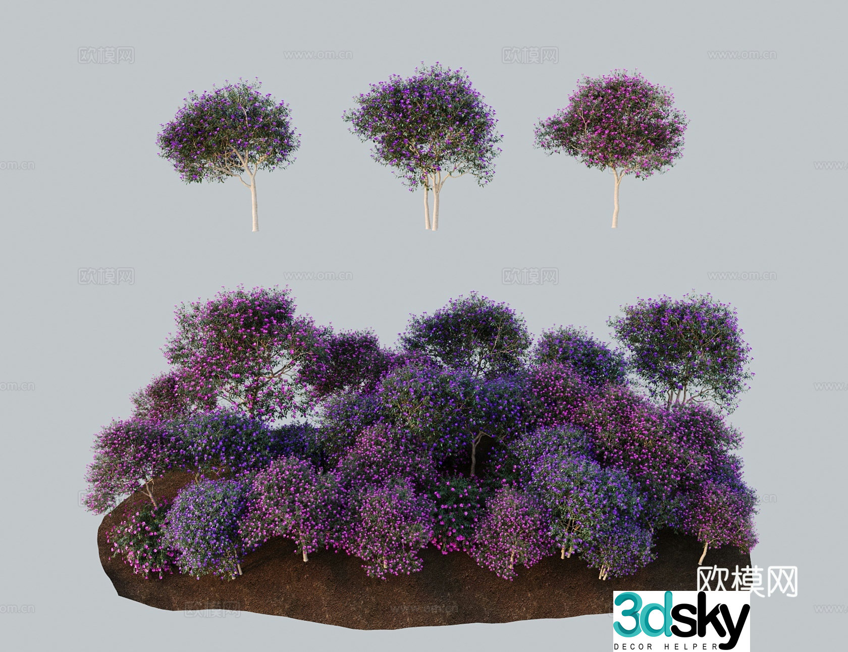 Modern landscape tree Brazilian wild peony purple peony purple air coming from the east Princess flowers and purple wild peony 3D model