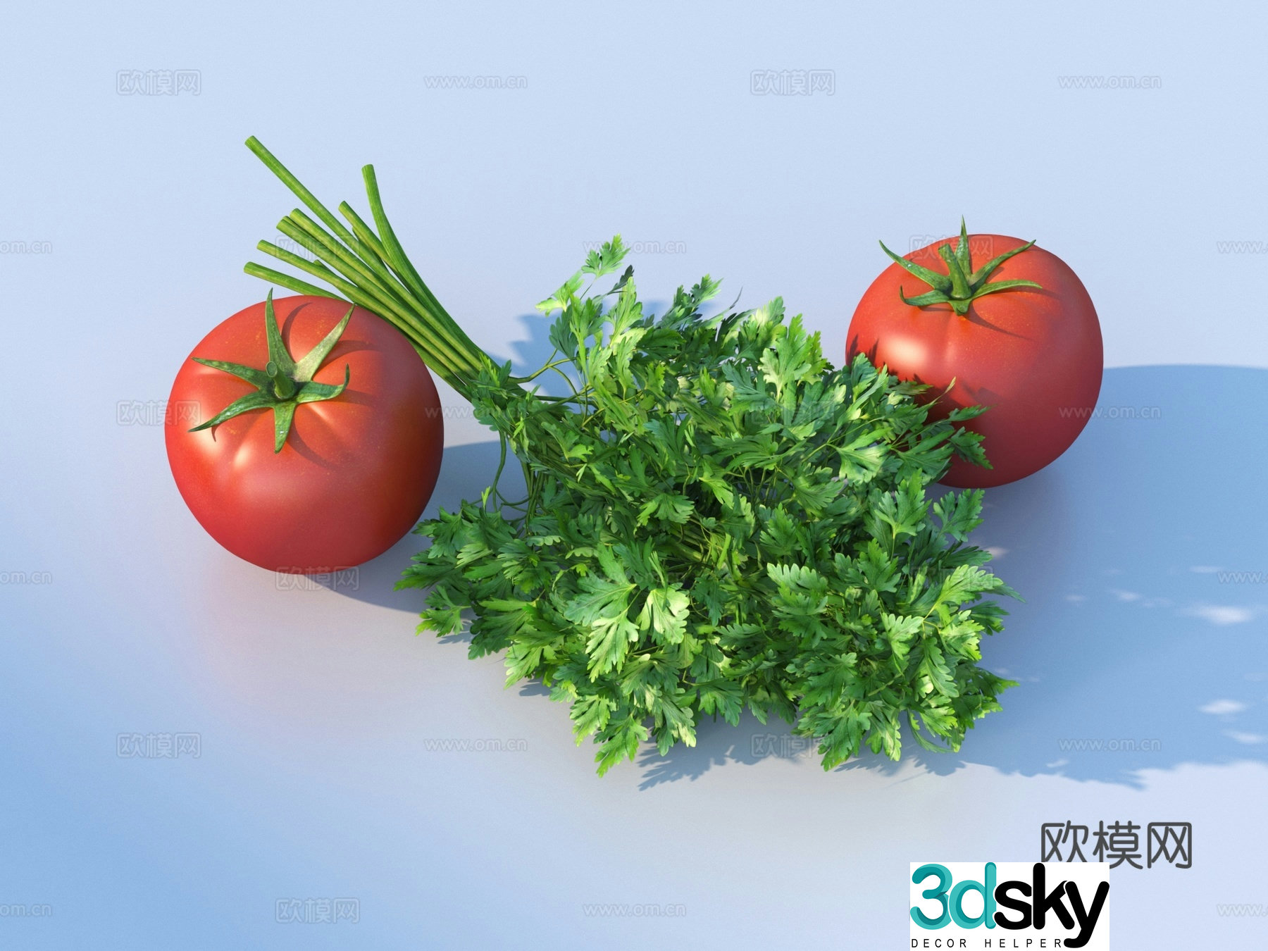 Tomato tomato vegetables coriander coriander side dishes 3D model