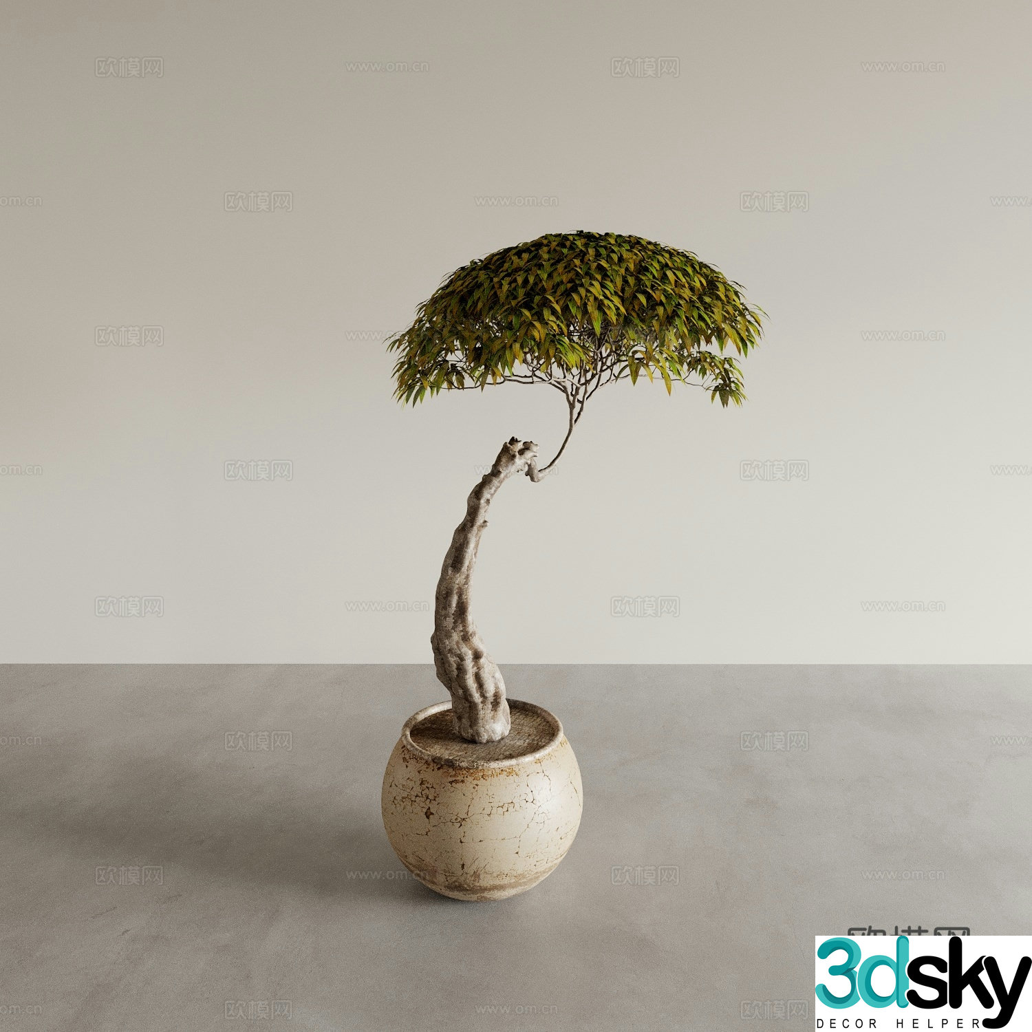Bonsai pots indoor green plants plant ornaments plant flower pots vase flower pots 3D model