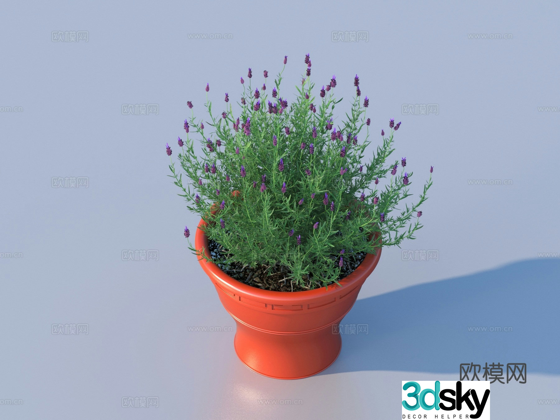 Flower pot pot green plants plant 3d model