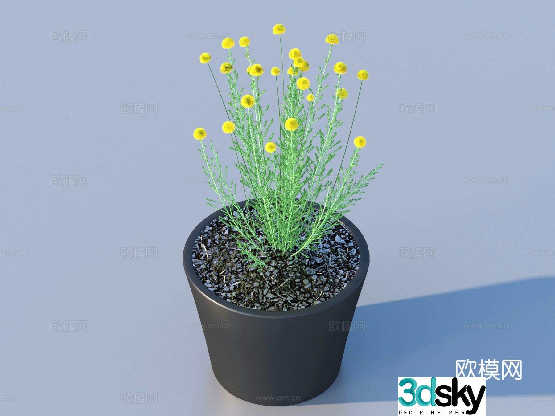 Flower pot pot green plants plant 3d model