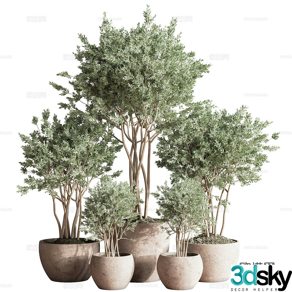 Green plant potted 3D model