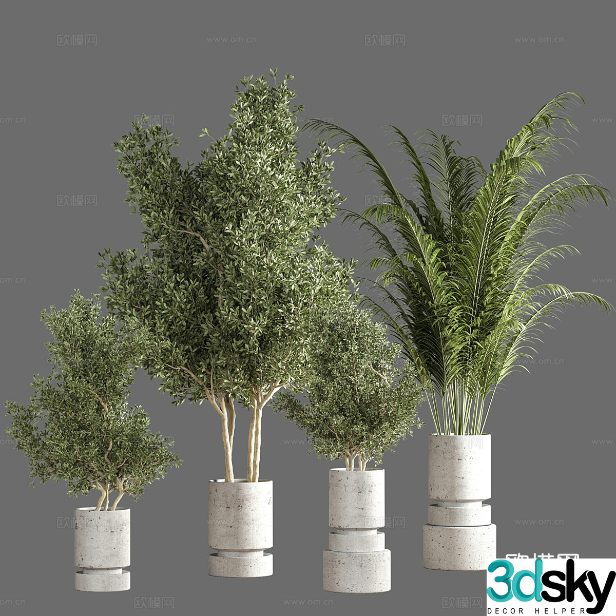 Potted bonsai 3d model