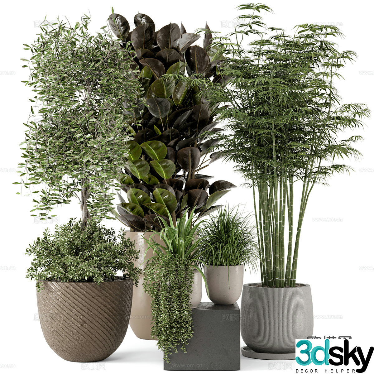 Green plant potted 3D model