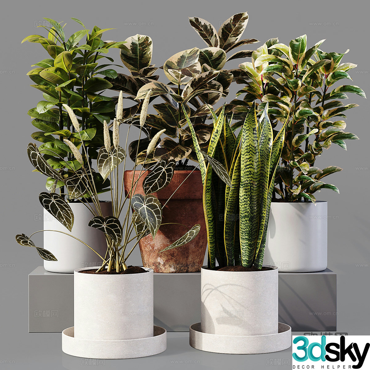 3D model of indoor potted plants