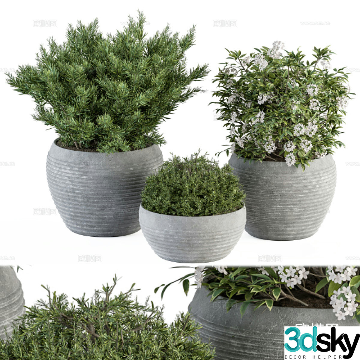 Potted 3D model
