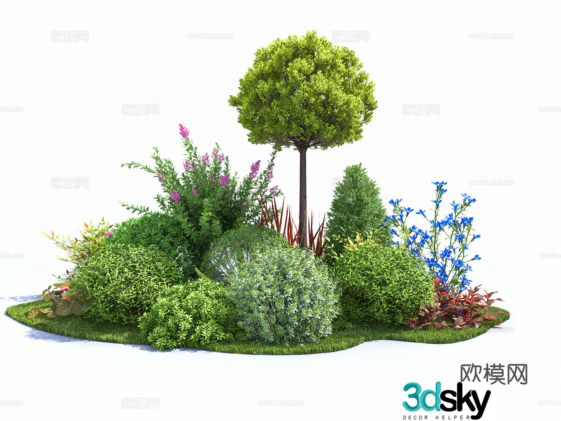 Ligustrum flower glass plant combination flowers and grass shrubs garden landscape plants flowers and plants 3D model
