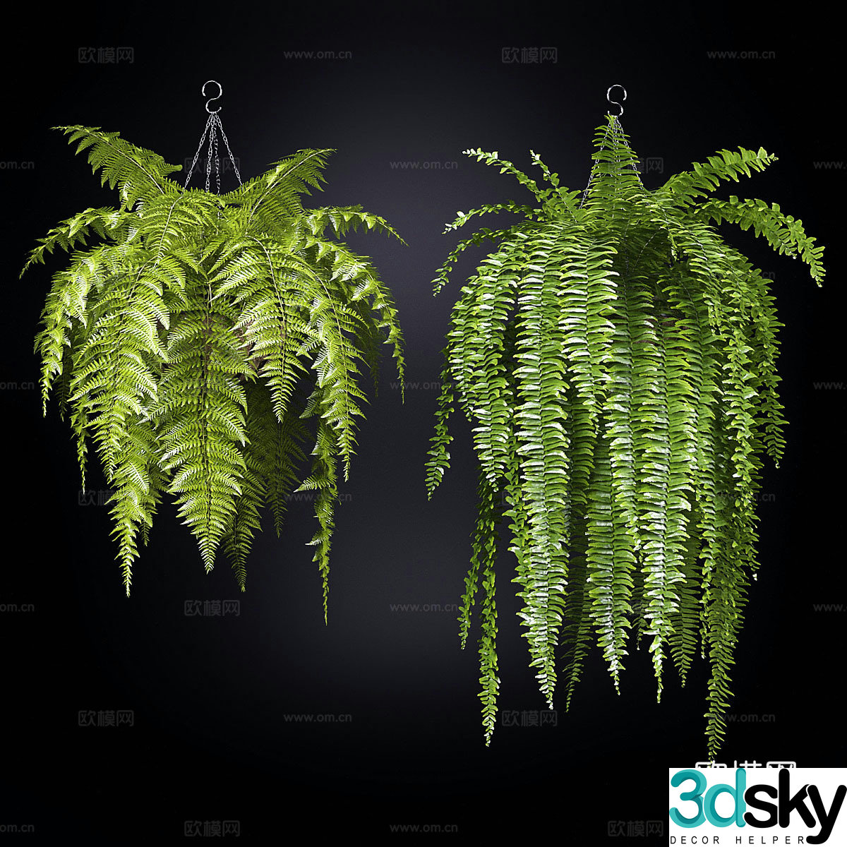 Hanging plant 3d model