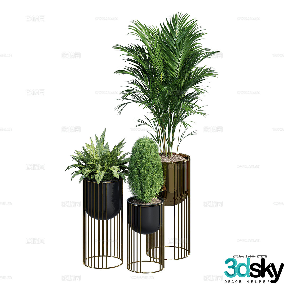 Green plant potted 3D model