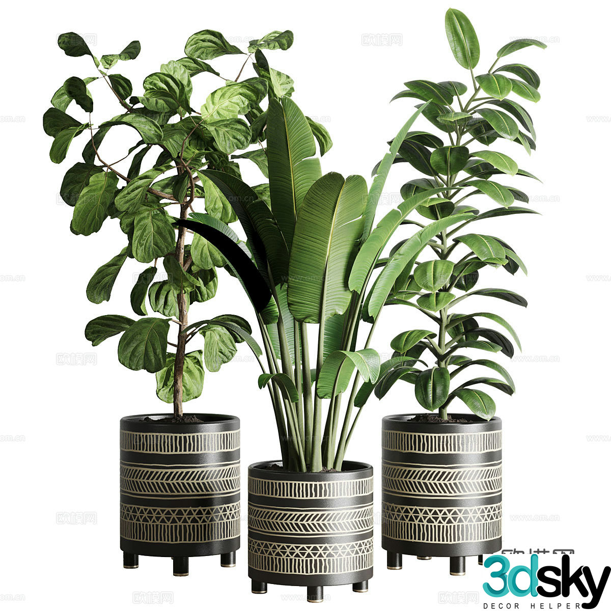 Banyan tree green plant potted plant 3d model