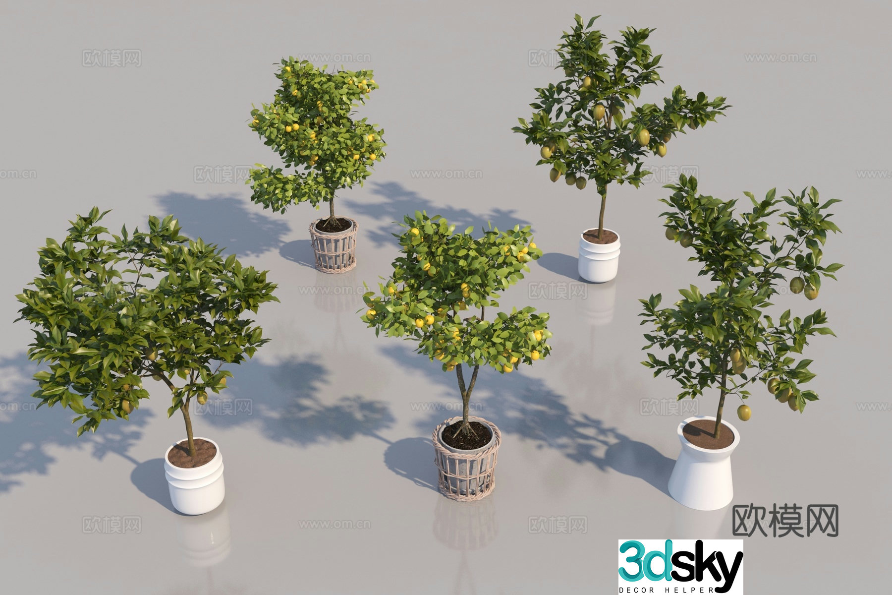 Modern fruit tree grapefruit tree orange tree lemon tree 3d model