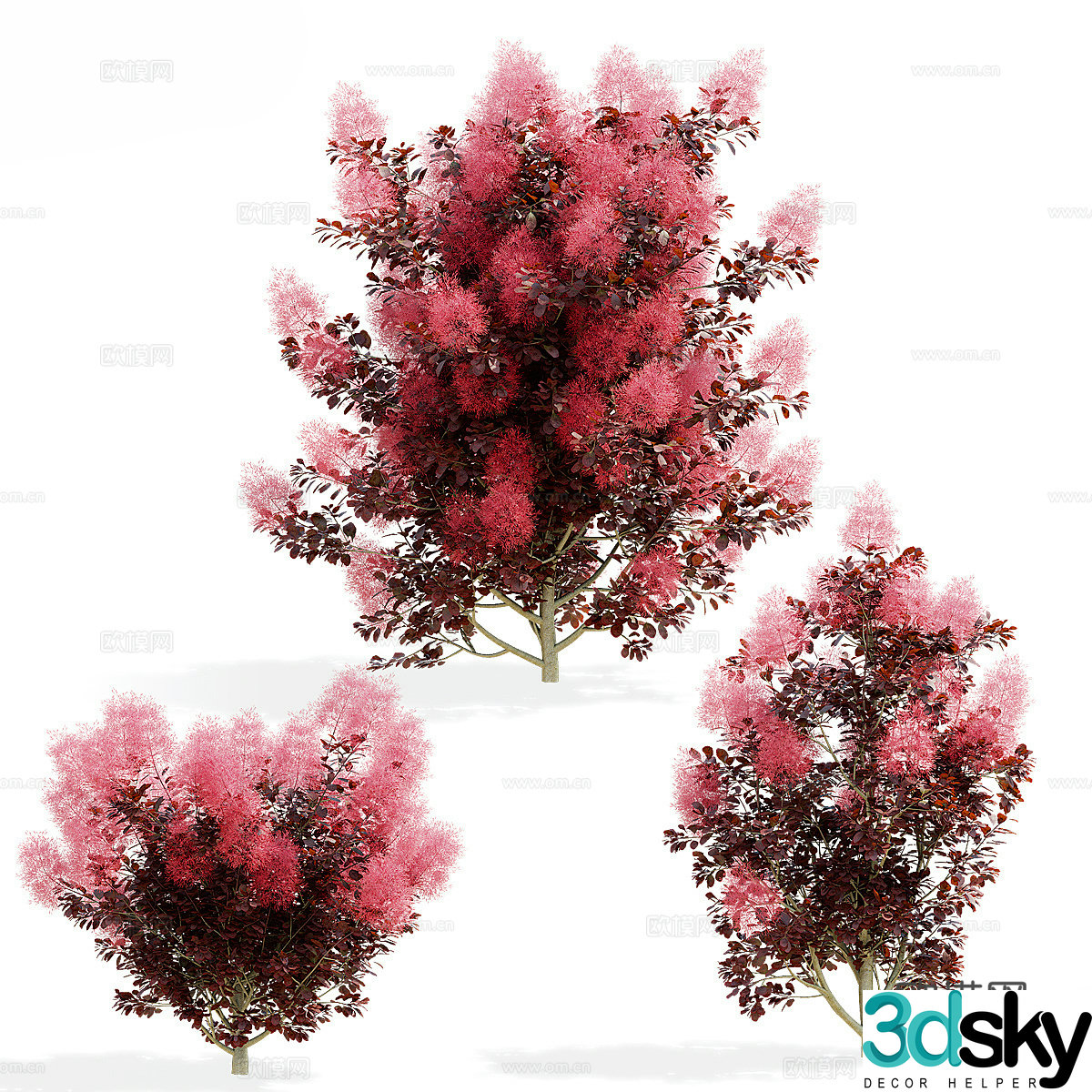 3d model of bush