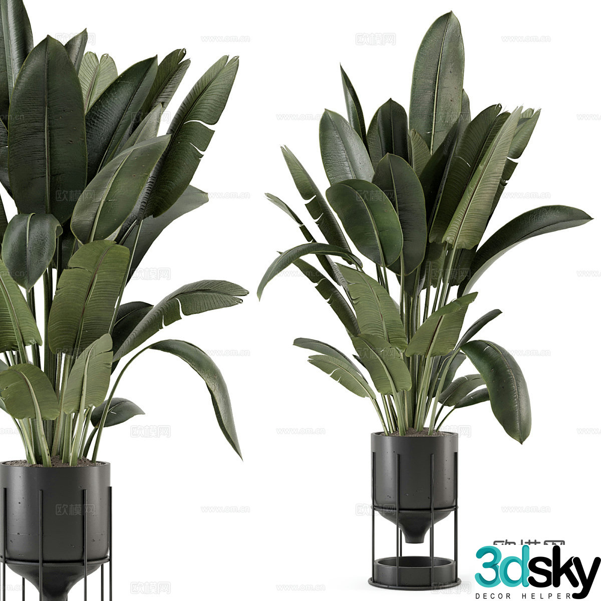 Vase flowers 3d model