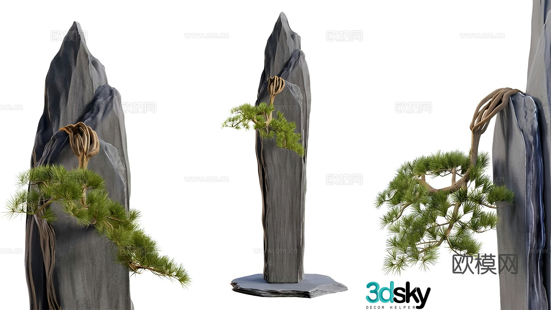 Pine tree 3d model